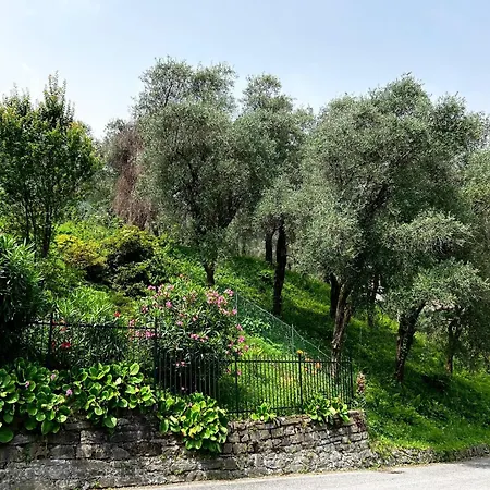 Lakeview Bellagio Limonta